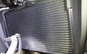 HONDA NX400 2024 NC65