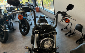 HARLEY FXBB 2020 YJJ