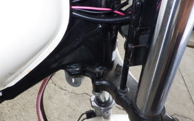 HONDA APE 100 HC07