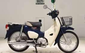 HONDA C110 SUPER CUB 2008 JA44