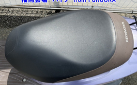 OTHER  DIO CESTA 3