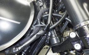 KAWASAKI W800-2ｽﾄﾘｰﾄ 2019 EJ800B