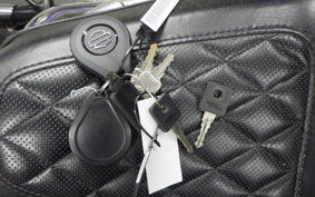 HARLEY XL1200NS 2019