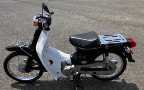 HONDA SUPER CUB50 C50