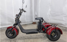 HONDA  BLAZE EV TRIKE  DMJC
