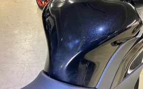 KAWASAKI NINJA 1000 SX 2024 ZXT02K