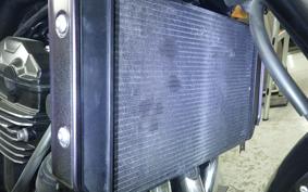 KAWASAKI Z900RS CAFE 2021 ZR900C