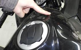 KAWASAKI NINJA 250 EX250P