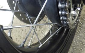 TRIUMPH SCRAMBLER 900 2023