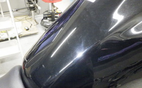 SUZUKI Vｽﾄﾛｰﾑ250A 2009