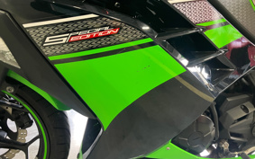 KAWASAKI Ninja 250 SE EX250L