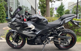 KAWASAKI NINJA 250 EX250P