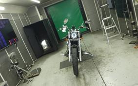 YAMAHA DRAGSTAR 400 2010 VH02J