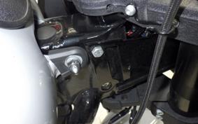 HARLEY FXLRST1920 2025