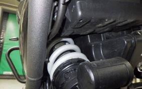 TRIUMPH SPEED400 2024