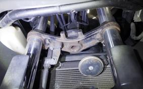 KAWASAKI NINJA 250 2026 EX250L