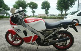 YAMAHA TZR250-1 1KT