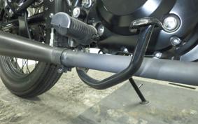 OTHER MUTT ヒルツ250