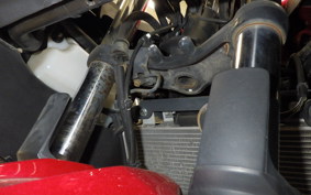 KAWASAKI NINJA 250 ABS EX250L