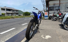SCORPA SY250