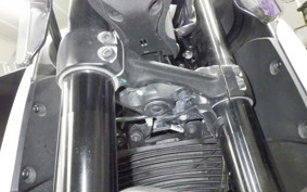 KTM 390 ADVENTURE 2021