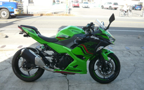 KAWASAKI NINJA 250 KRT ED EX250Y