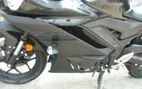 YAMAHA YZF-R25 RG43J