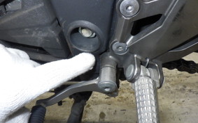 KAWASAKI Z250 ER250C
