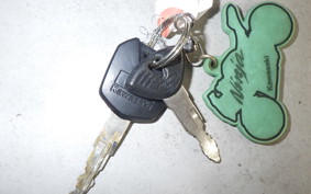 KAWASAKI NINJA 250 ABS EX250L