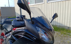 OTHER KANNAMUSPYDER F3-S 2022 RDD
