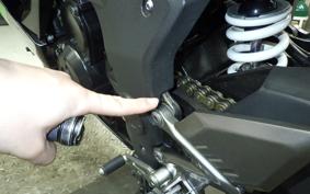 KAWASAKI NINJA 250 SL