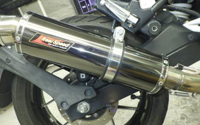 SUZUKI ｼﾞｸｻｰ250 2016
