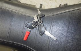 DUCATI SCRAMBLER ICON 2015