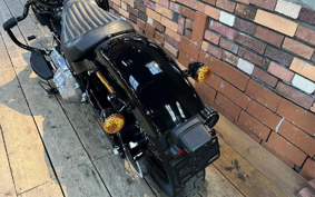 HARLEY FLSL 2021 YDJ
