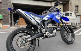 YAMAHA WR250X DG20
