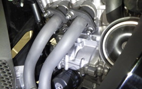 HONDA CBR250RR A MC51