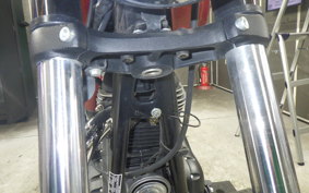 OTHER +ENFIELD ﾒﾃｵ350 2023