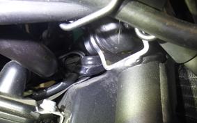 KAWASAKI Z900RS CAFE 2024 ZR900K