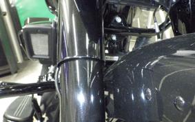 HARLEY FLTRX1920 2024