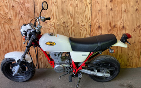 HONDA APE 100 HC07