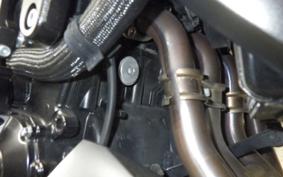 SUZUKI GSX-S1000 2021