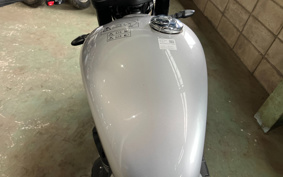 TRIUMPH SPEED TWIN 900 DP0G27