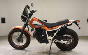 YAMAHA TW225 2019 DG09J