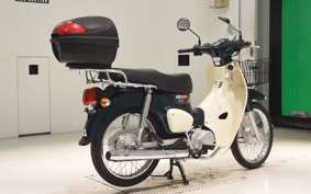 HONDA C110 SUPER CUB 2014 JA44
