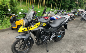 SUZUKI STROM 250ABS DS11A