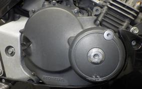 HONDA HORNET 250 2010 MC31