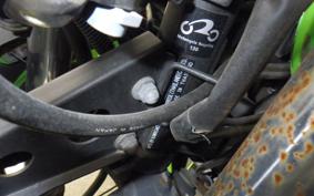 KAWASAKI NINJA 250R EX250K