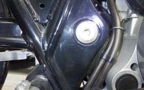 KAWASAKI W800 2012 EJ800A