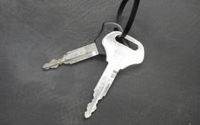 KAWASAKI BALIUS 250 Gen.2 2006 ZR250B