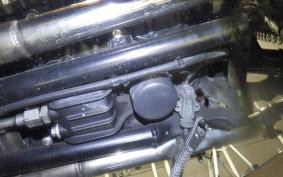 TRIUMPH BONNEVILLE T100 2013